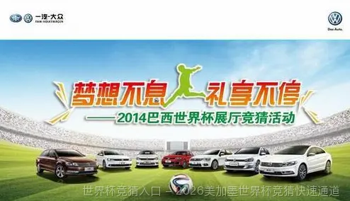 FIFA 中国平台介绍